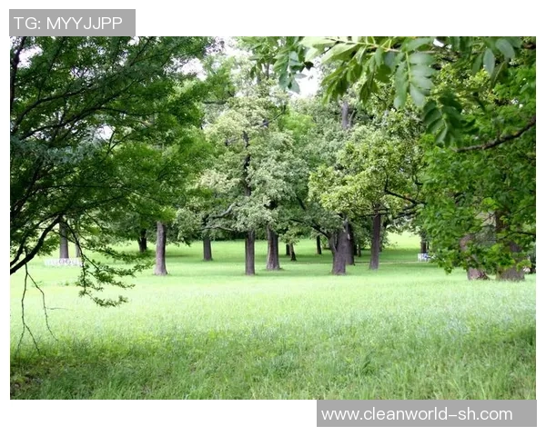 如何制作足球球星照片框并巧妙展示你的收藏与回忆