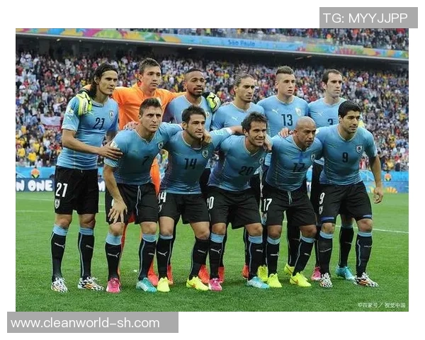 聚焦5号足球星全面解析辉煌成就与赛场风采深度解读